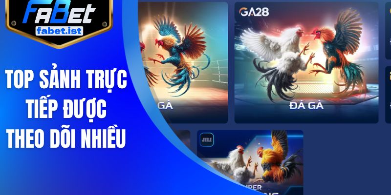 Top sảnh trực tiếp được theo dõi nhiều