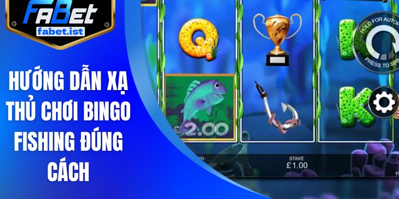Hướng dẫn xạ thủ chơi bingo fishing đúng cách